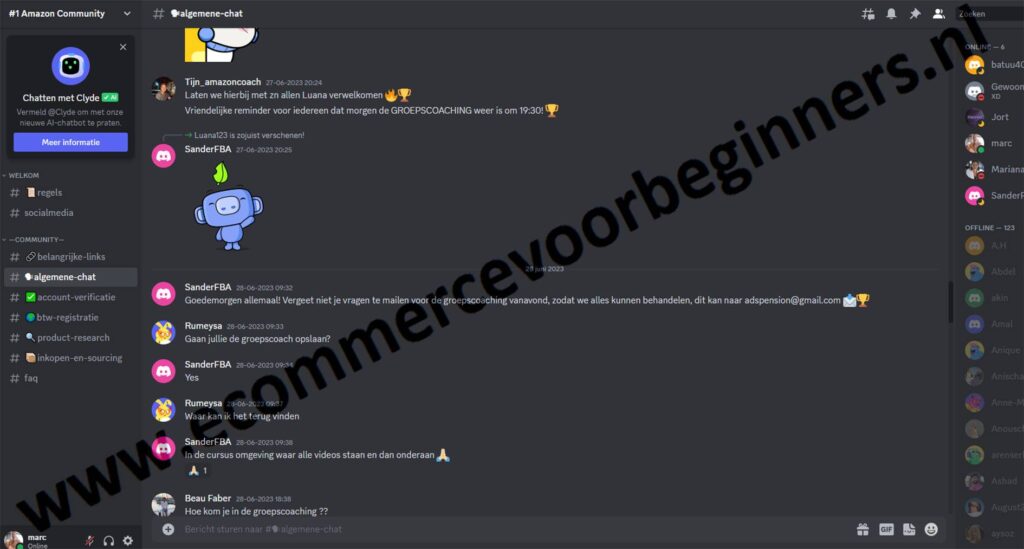 Op deze foto zie je Bonus #1: Discord Community van de Amazon fba cursus van Tijn Strikker van Adspension